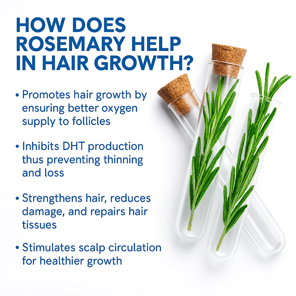 Zempify Hair Growth Serum Roll