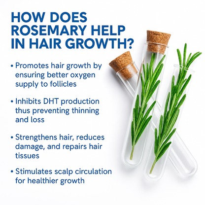 Zempify Hair Growth Serum Roll